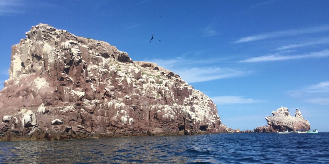 Isla Espíritu Santo: gema del Mar de Cortés