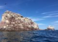 Isla Espíritu Santo: gema del Mar de Cortés